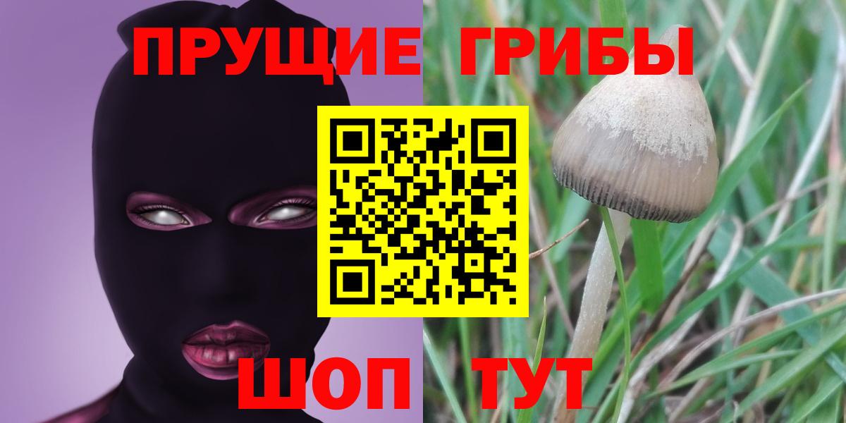 Ковров  Галлюциногенные грибы Psilocybe  Псилоцибиновые грибы GOLDEN TEACHER  Вход с VPN 
